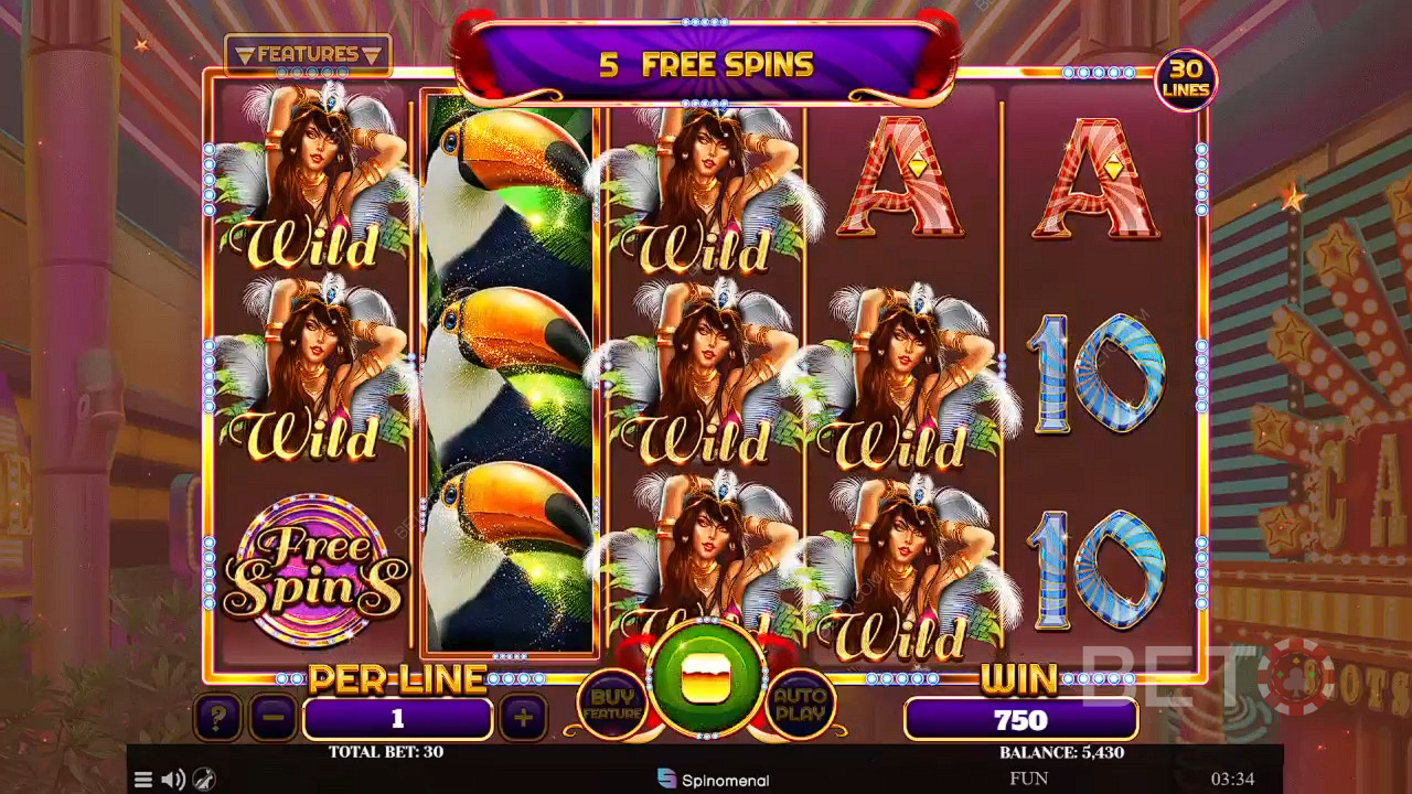 Reels Of Rio اللعب المجاني