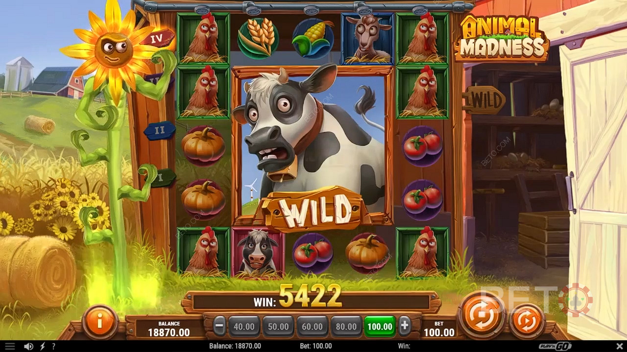 Animal Madness اللعب المجاني