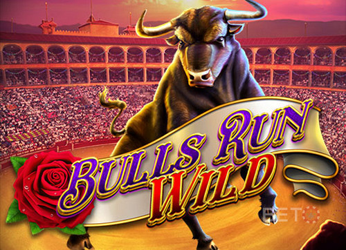Bulls Run Wild